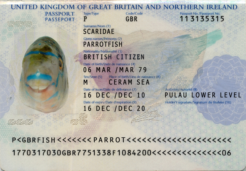 Fish Passports